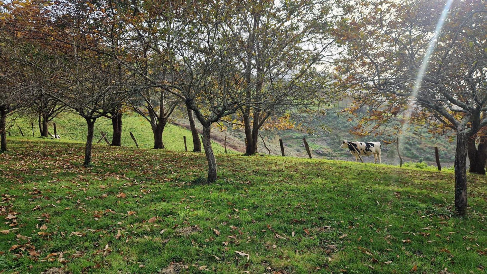 Casa Bezales En Ampuero Cantabria المظهر الخارجي الصورة